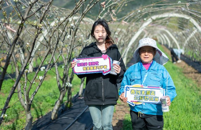 職教新銳破解“用工荒”：池州職業技術學院學子研發智能采摘機器人助力鄉村振興